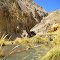 Termas Las Hediondas, valle de Vacas Heladas