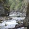 Lago Verde tributary, full of fish