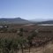 Camino a Loica