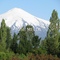 Cercanias del volcan Villarrica