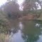 perlaillo
