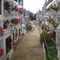 Cementerio, Peralillo