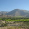 ▶ Viñedos en el Valle del Elqui ®