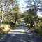 Carretera Austral, Vagabundo