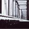 Snowy Tressel over Susquehanna