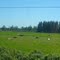 Campos en Cabrero