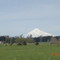 Volcan Osorno desde el camino a Puyehue
