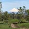 Volcan osorno