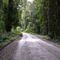 Bosque de Quillin