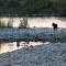 Calcurrupe River