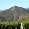 CERROS DE HUELQUEN