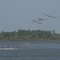 Geese near Elk Point, SD