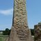Towers in Time: Species from the Pleistocene (1.8 million to 10,000 years ago)