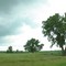 Trees near 440th