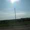 Cattle off 81 in the sun