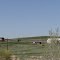 House near Fort Thopson SD