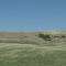 Prairie near  Fort Thopson SD