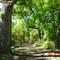 Berry Creek Trail