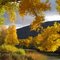 Colors along the Carson River