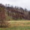Whitney Preserve