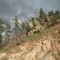 Along Highway 385 S of Wind Cave National Park