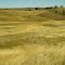 SD 385, S of Wind Cave, South Dakota