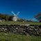 Windmill on Conanicut Island