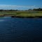 Great Creek