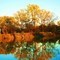 Burke Lake