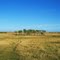 Pasture near Burke