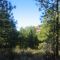 Methow valley in the spring