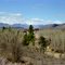 Methow Valley, near Winthrop, Washington