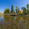 Methow River in Autumn - 360 - nwicon.com