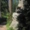 Harney Peak Trail