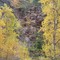 Spearfish Canyon Colors