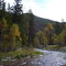 Spearfish Creek in Autumn