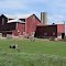 Farm