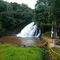Analandia-Fall 01-002