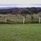Mata de cerrado, vendo ao fundo o Morro do Cuscuzeiro-Analândia, visto da Rodovia Washington Luiz SP-310