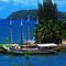 Monsuaba-Angra dos Reis-Rio de Janeiro--dedico essa foto a amiga **berbena**.