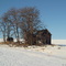 Winter Homestead