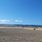 Planetz Wheatfields on Waterville Plateau