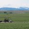 Old Combine on the Waterville Plateau