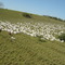 Vista aérea no Retiro Tietê na Agrop. Jacarezinho