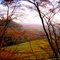Paisagem em Dois Córrego sp -Foto:Luciano Rizzeri