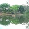 Cabreúva farm, Brotas-sp