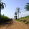 Estrada sem nome (Brotas - Ribeirão Bonito) – Brotas, 2009