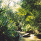 Natureza Serrana 04