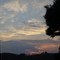 Sunrise Cafezal em Flor 01