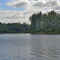 Willamette River